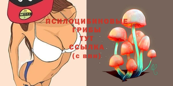 a pvp Абаза
