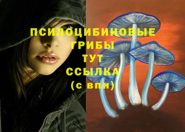 Альфа ПВП Алзамай