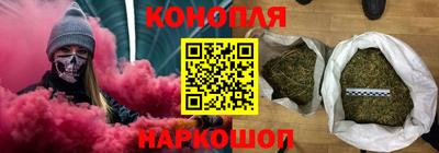 мдпв Гусев