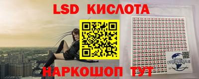 мдпв Гусев