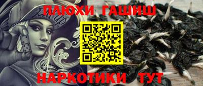 мдпв Гусев