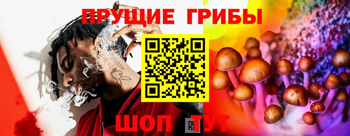 Сыктывкар  Галлюциногенные грибы мицелий  Галлюциногенные грибы прущие грибы  где можно купить   Вход с VPN 